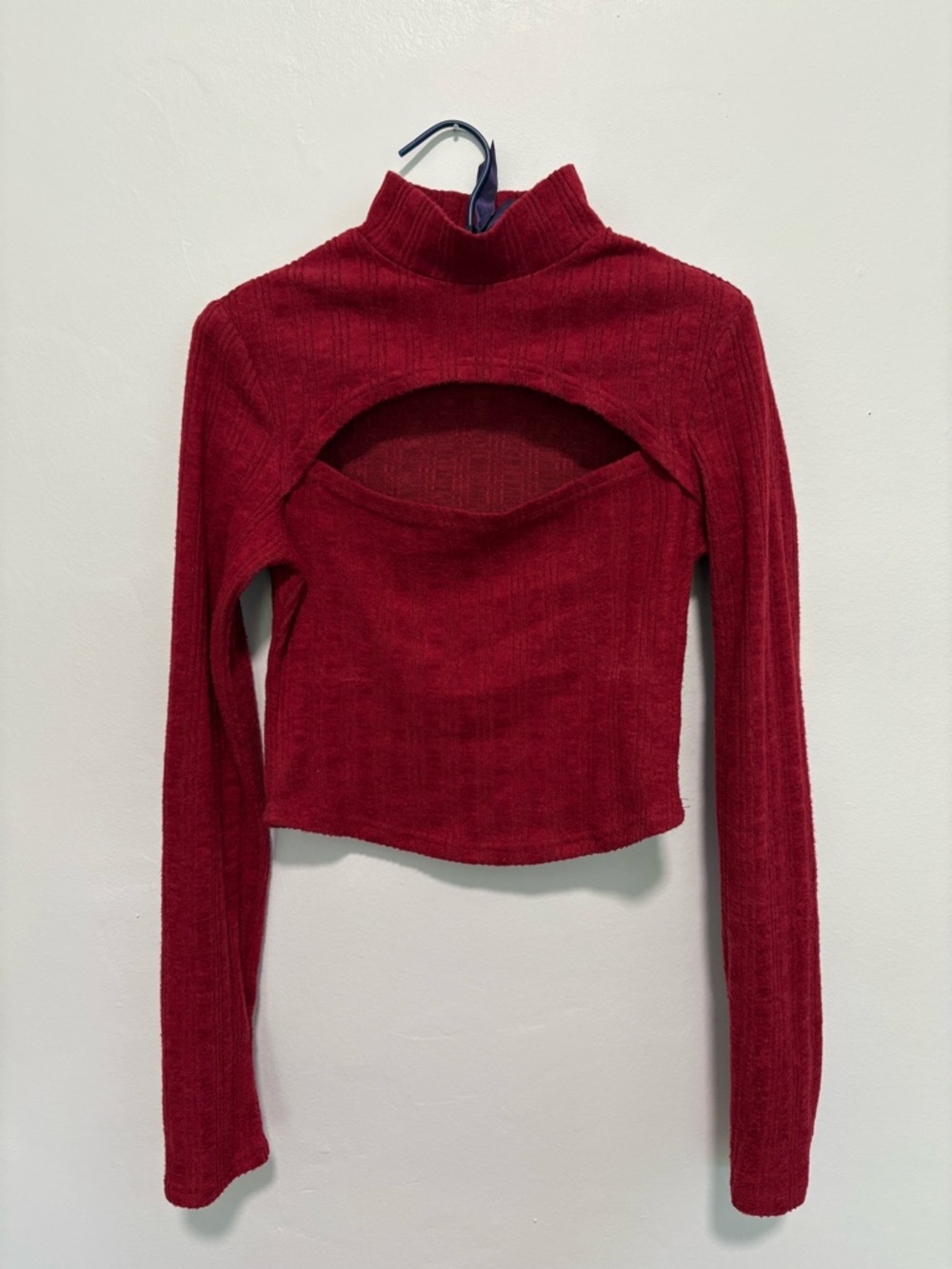 Cider Burgundy Ribbed Long-Sleeve Cutout Mockneck Crop Top